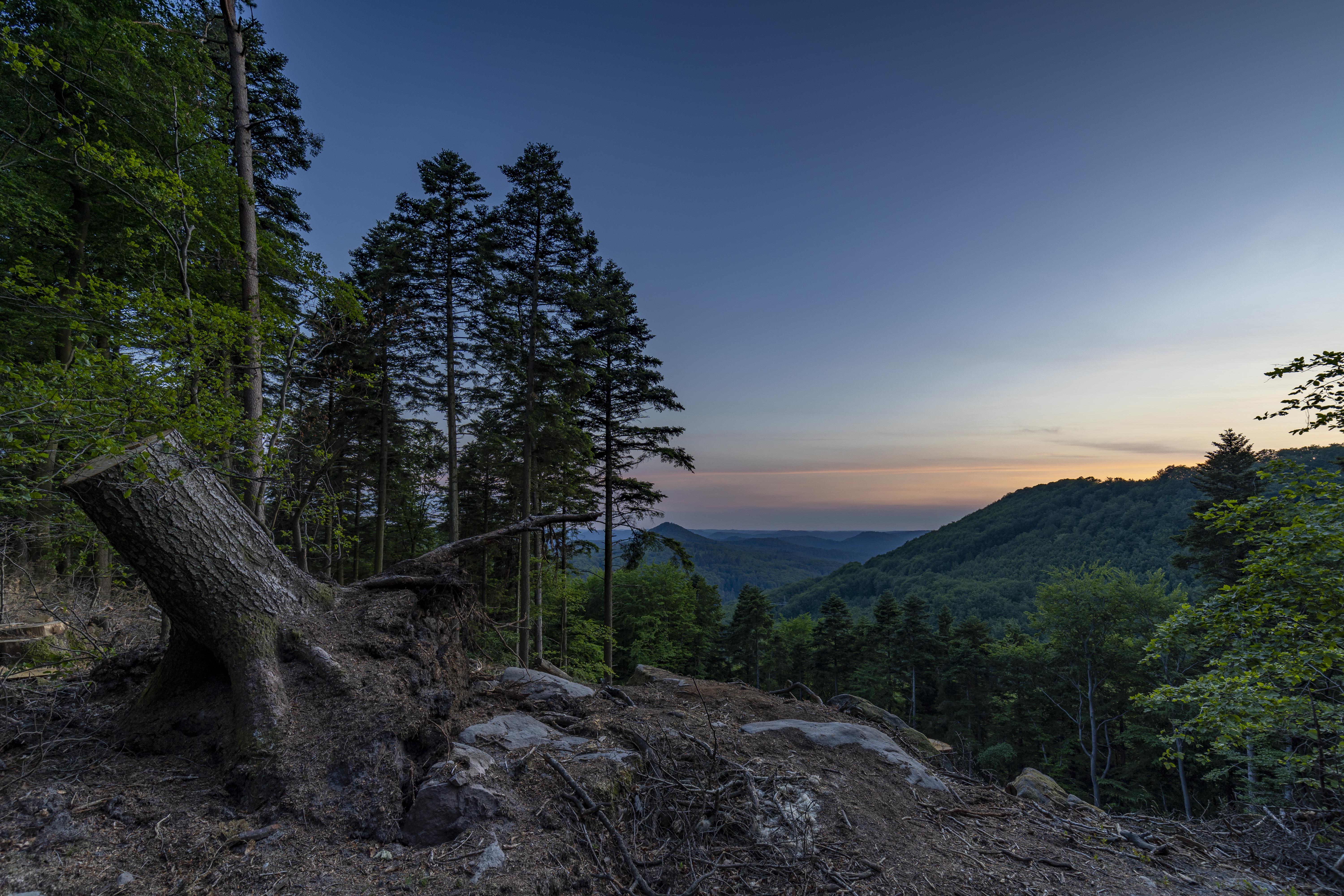 background-image
