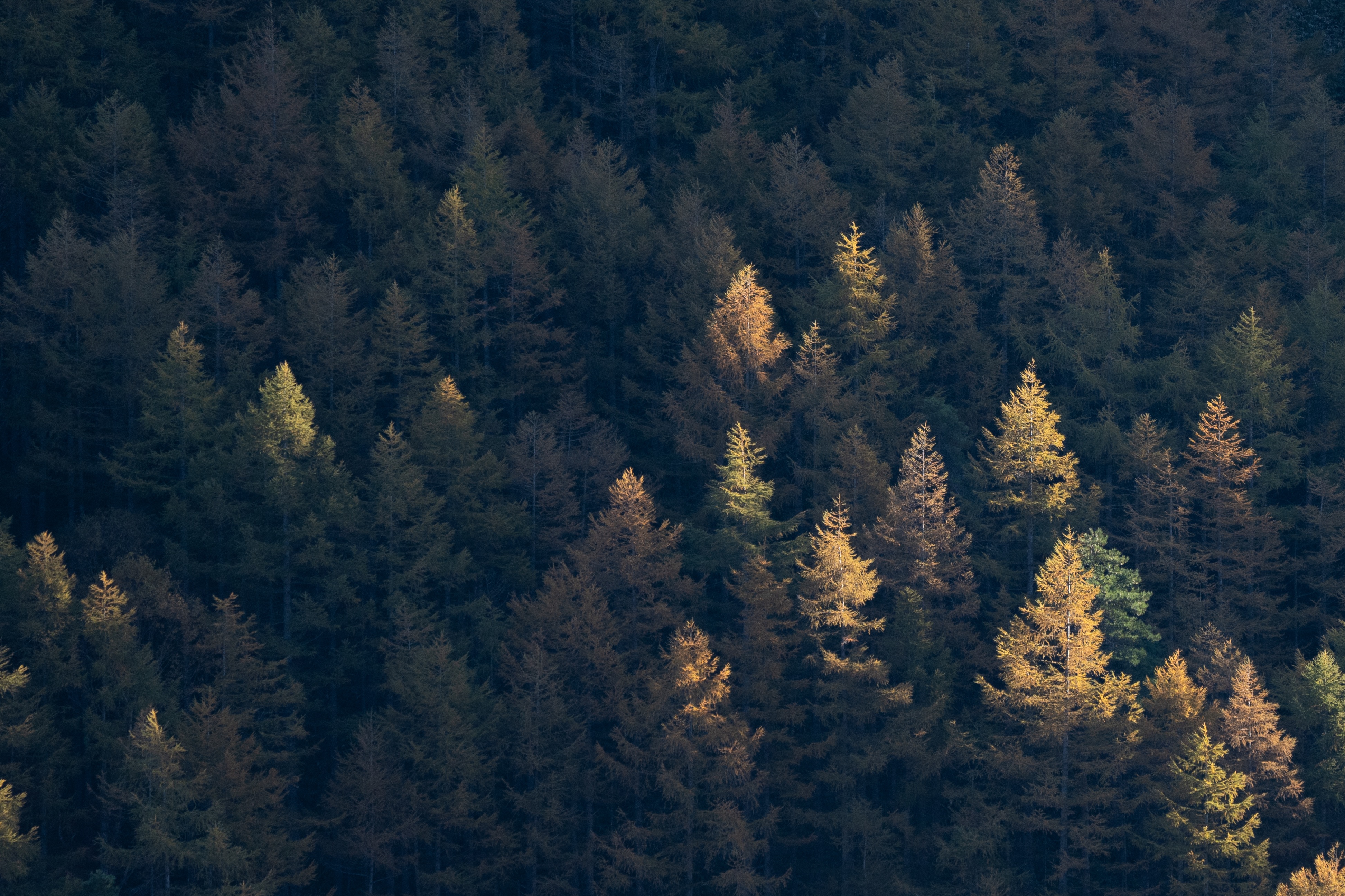 background-image